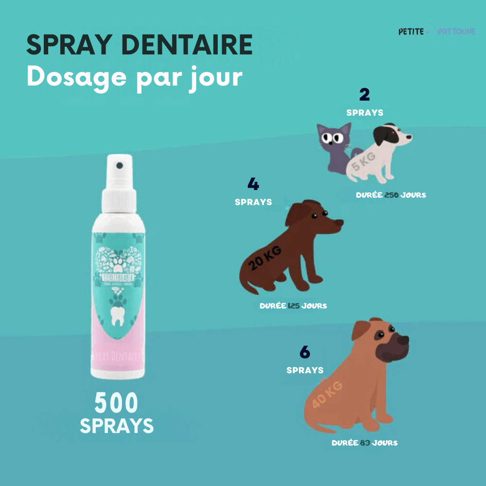 Spray Dentaire pour Pattounes