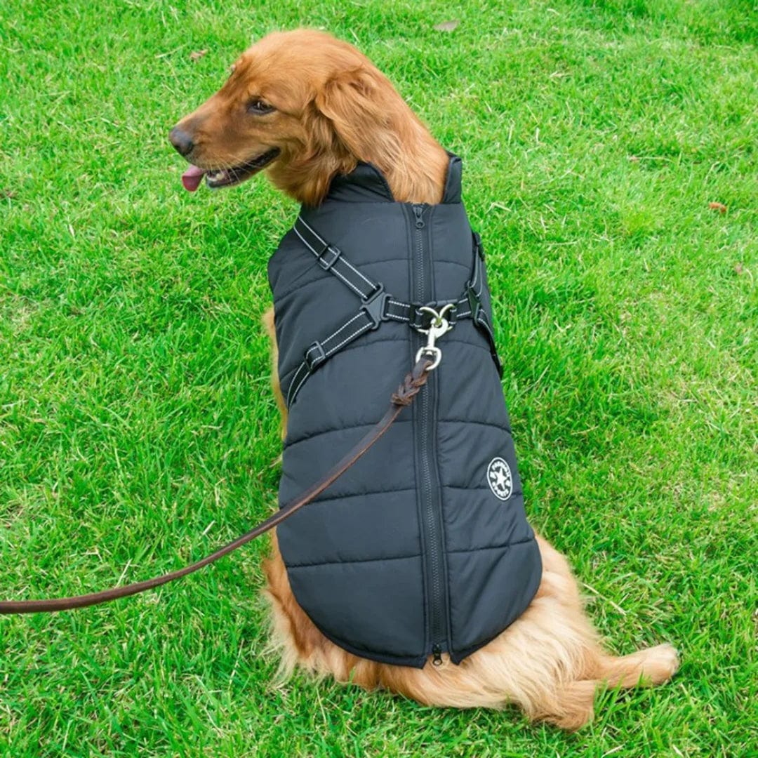 Veste D'hiver Imperméable - Harnais Intégré