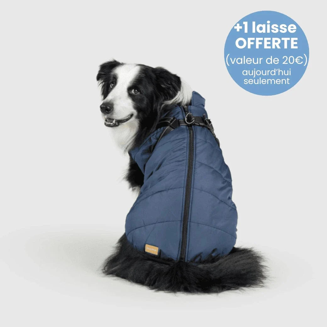 Manteau pour Chien Imperméable