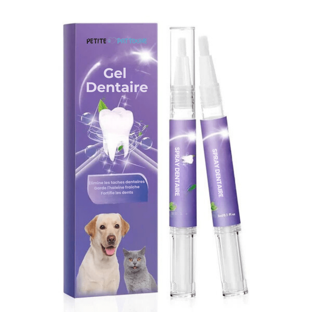 Gel Dentaire Canin