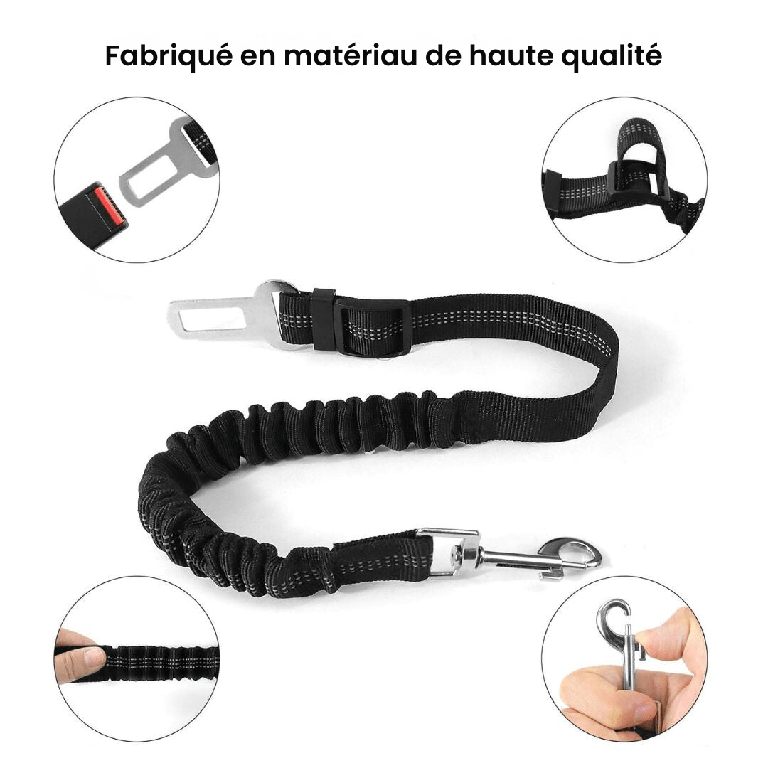 Ceinture Sécurité pour Chien