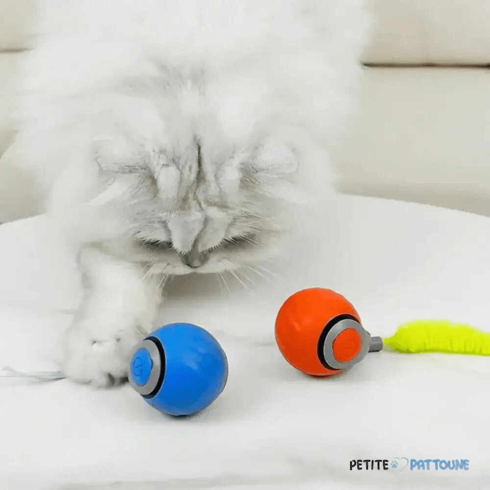 Balle Interactive 2.0 pour Félins