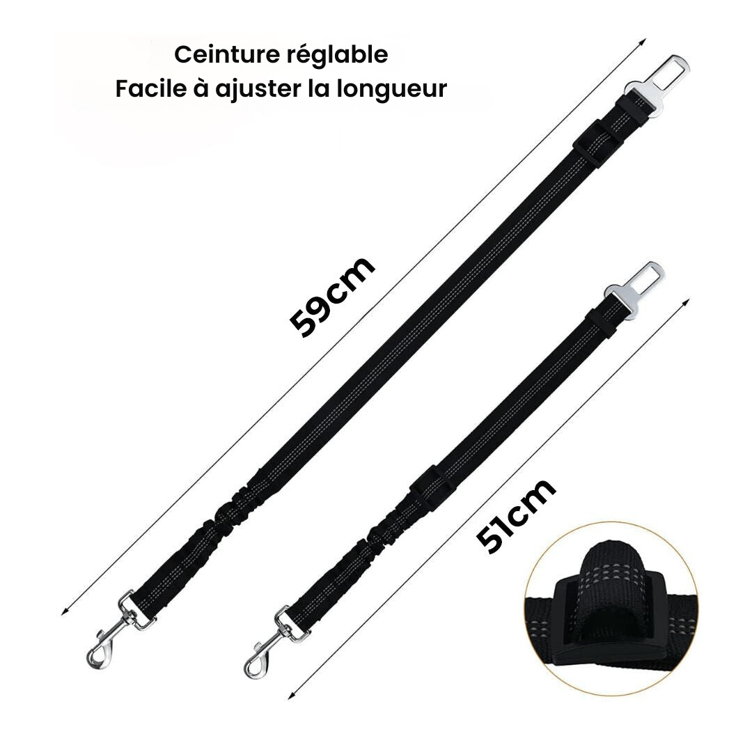 Ceinture Sécurité pour Chien