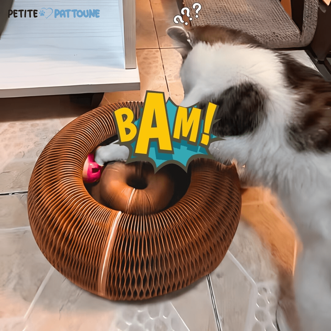 Jouet Interactif pour Chat – Balle et Griffoir