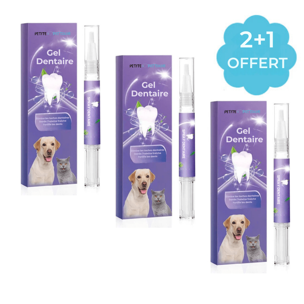 Gel Dentaire Canin