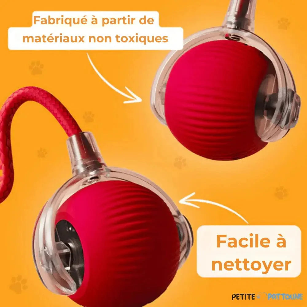 Balle Magique et Interactive pour Chien