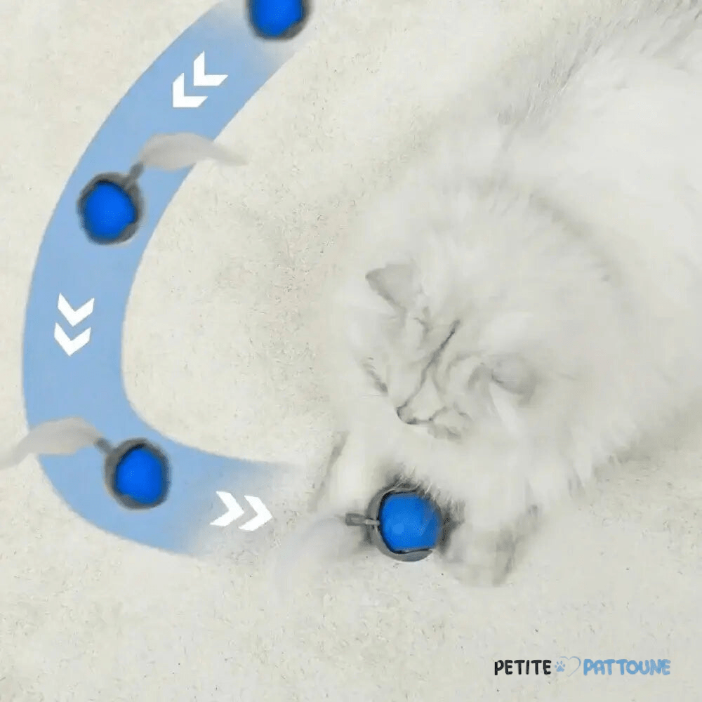 Balle Interactive 2.0 pour Félins