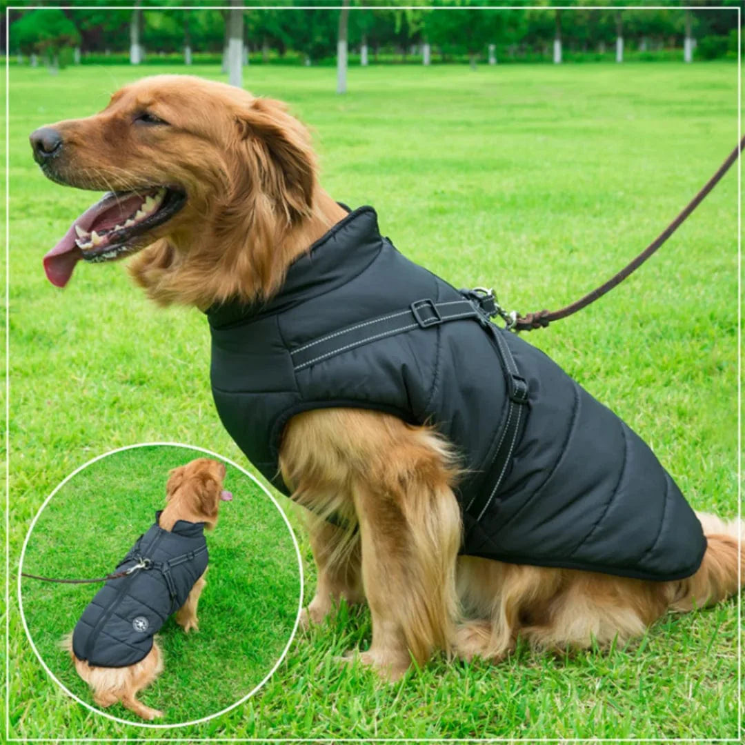 Veste D'hiver Imperméable - Harnais Intégré