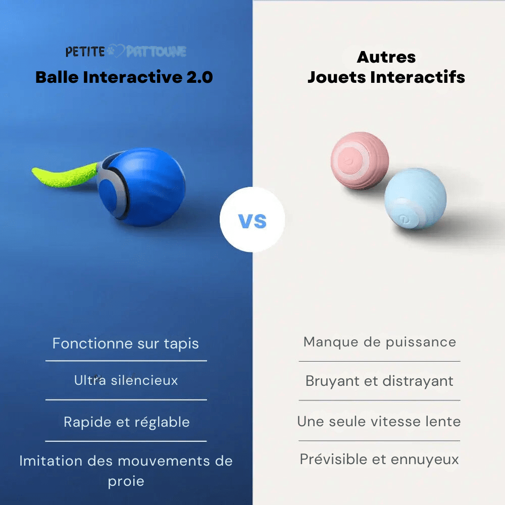 Balle Interactive 2.0 pour Félins