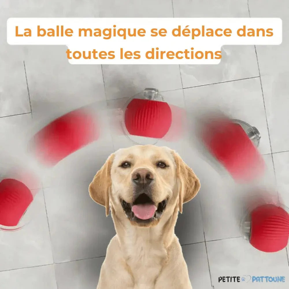 Balle Magique et Interactive pour Chien