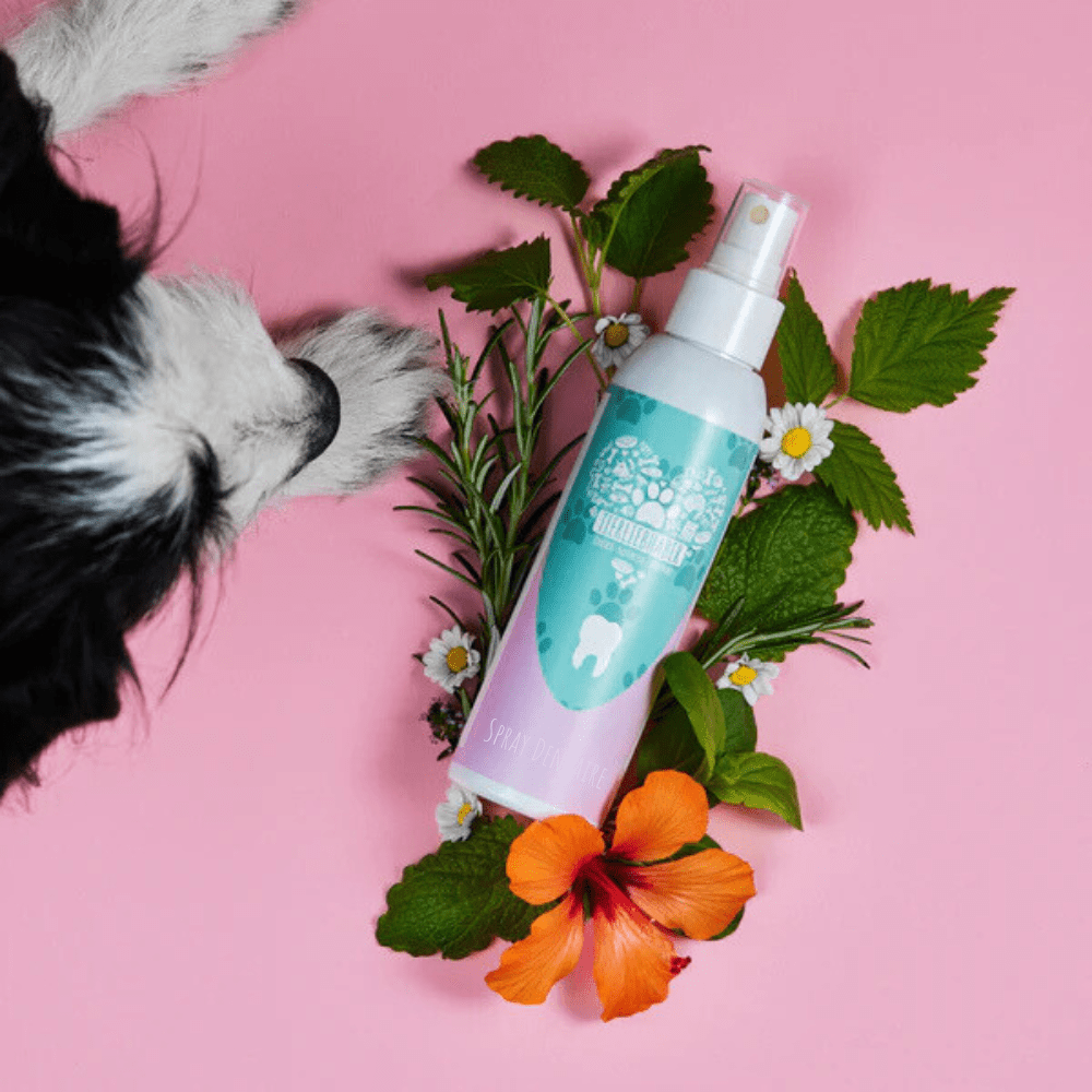 Spray Dentaire pour Pattounes