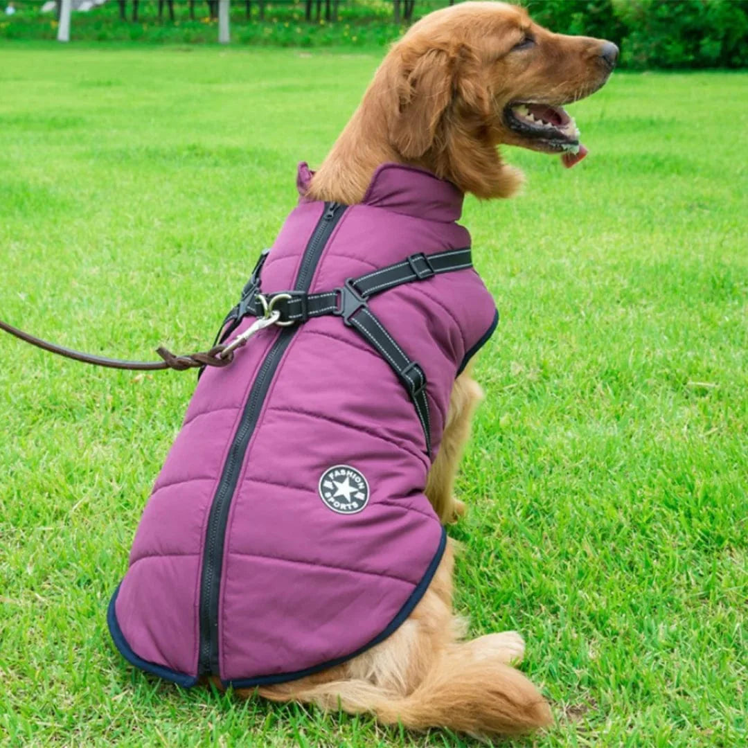 Veste D'hiver Imperméable - Harnais Intégré
