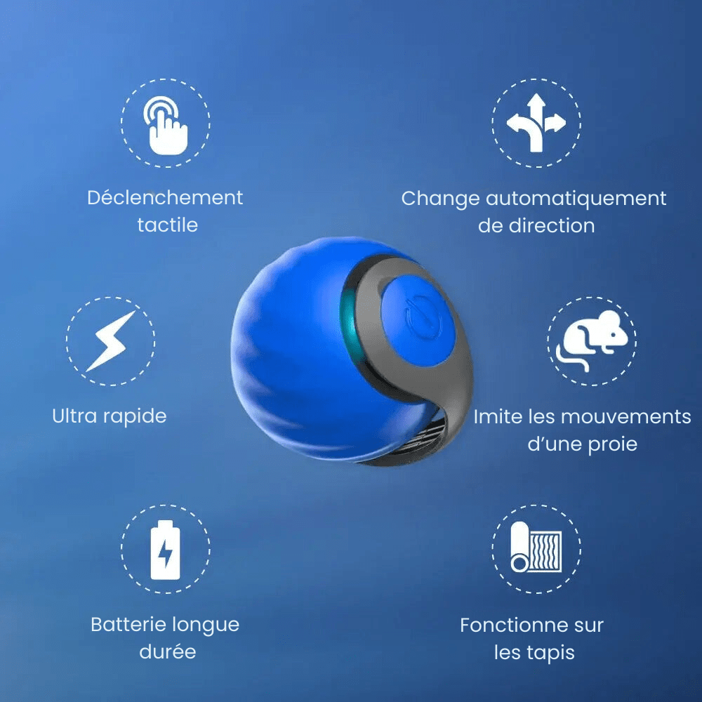 Balle Interactive 2.0 pour Félins