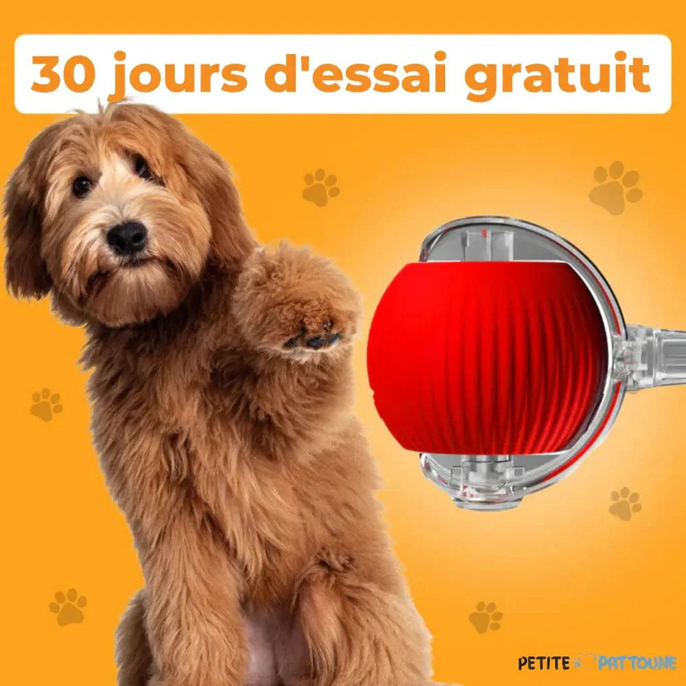 Balle Magique et Interactive pour Chien