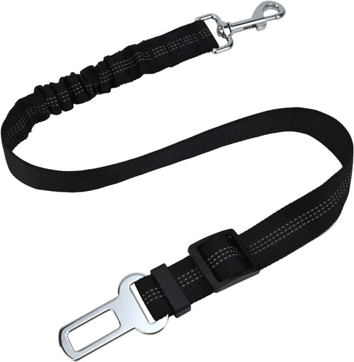 Ceinture Sécurité pour Chien