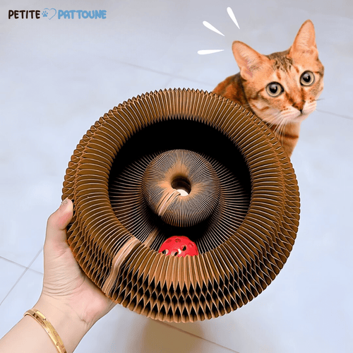 Jouet Interactif pour Chat – Balle et Griffoir