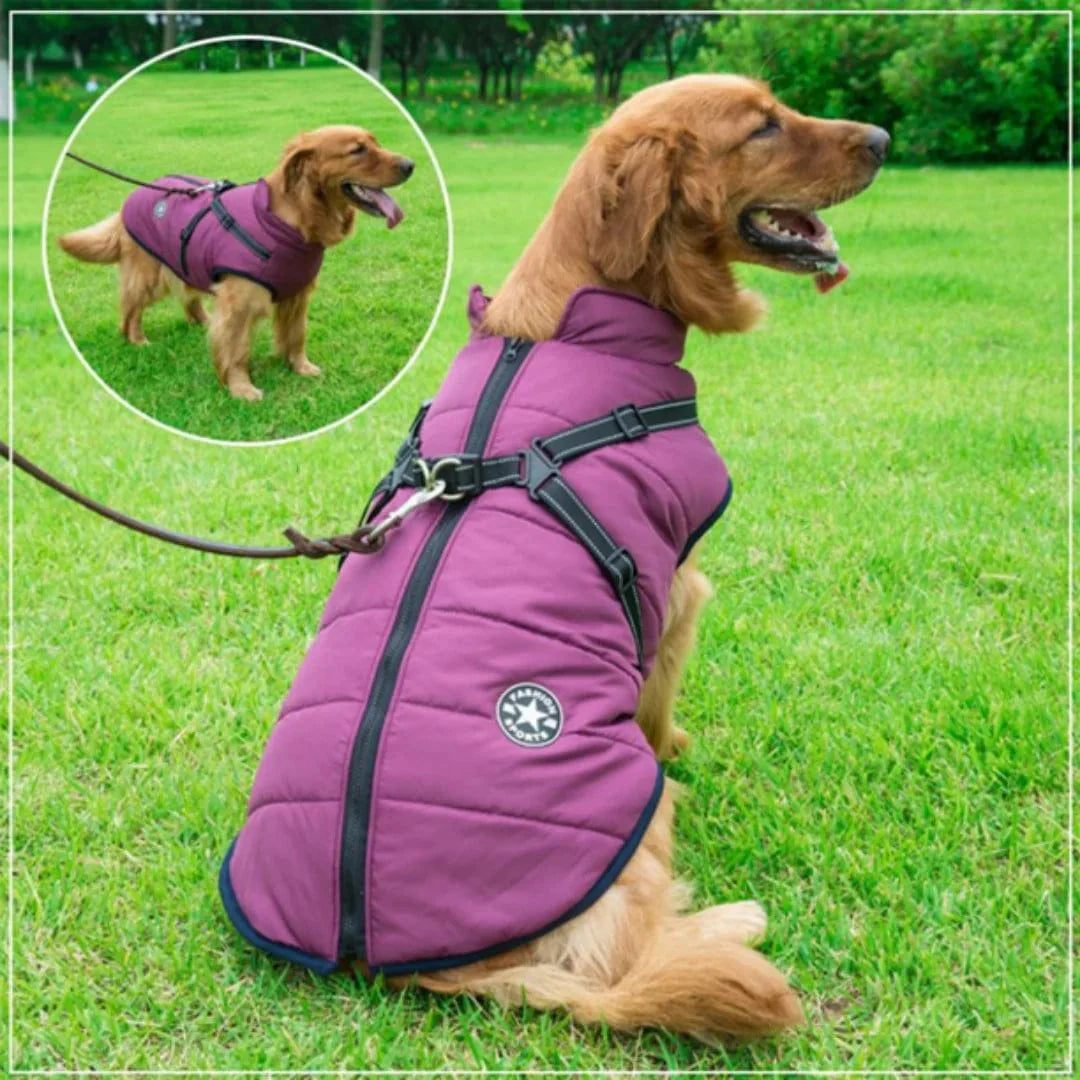 Veste D'hiver Imperméable - Harnais Intégré