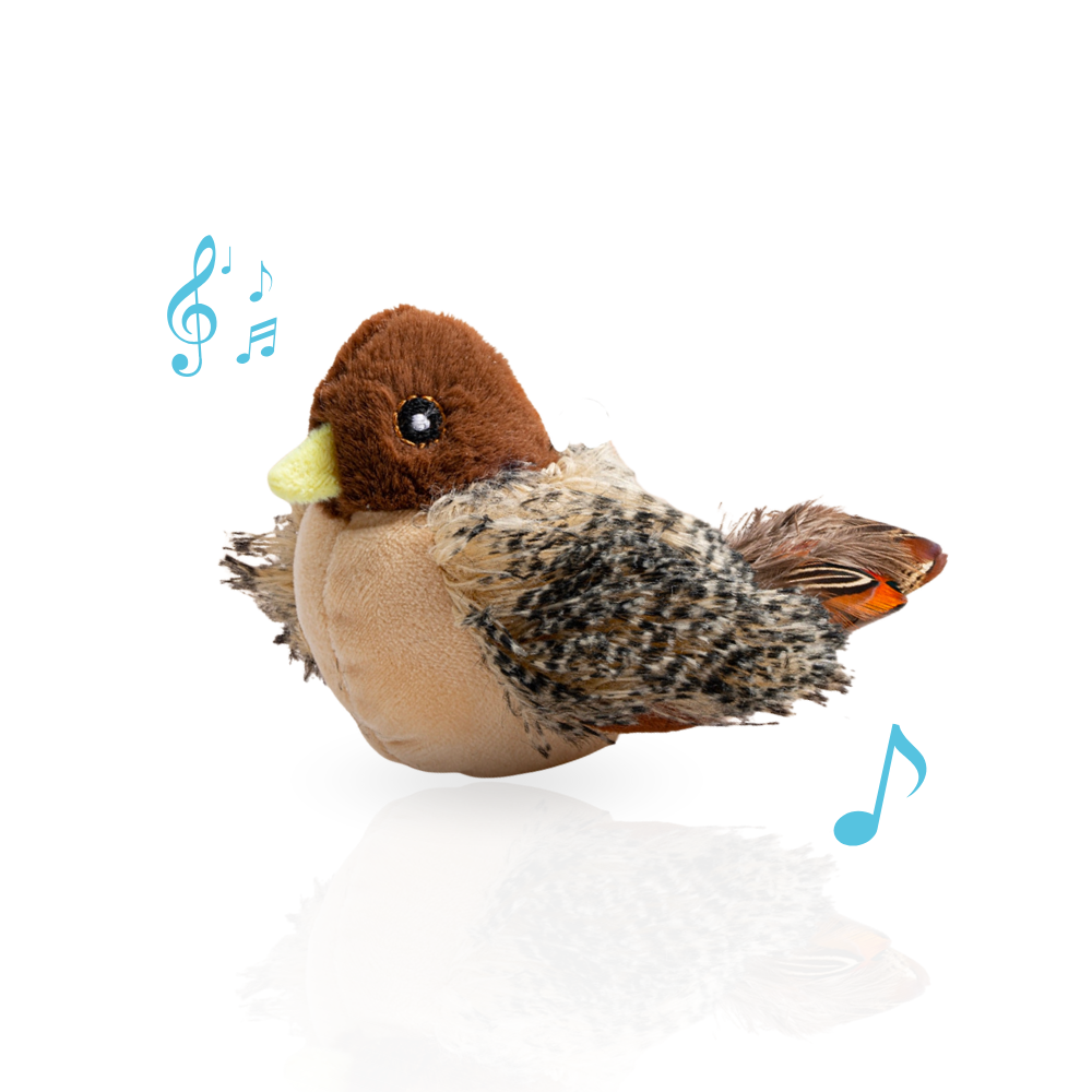 Interactive Cat Toy | Moving & Chirping Toy | USB Rechargeable | Stimulates Exercise & Natural Hunting Instinct