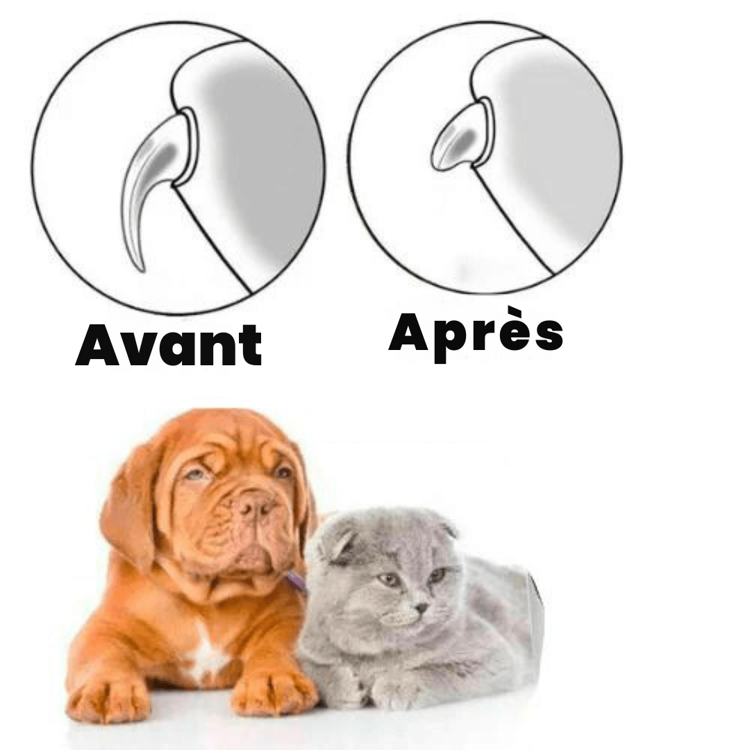 Coupe ongle électrique