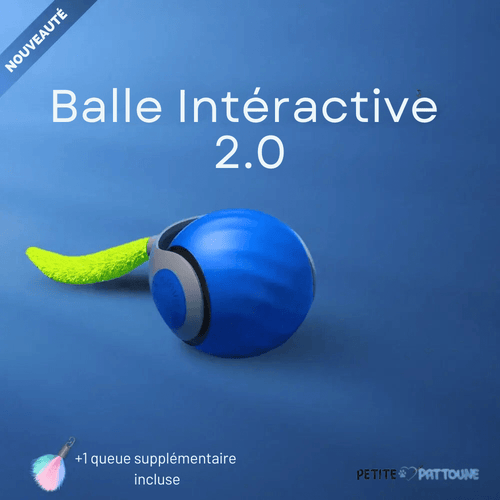 Balle Interactive 2.0 pour Félins