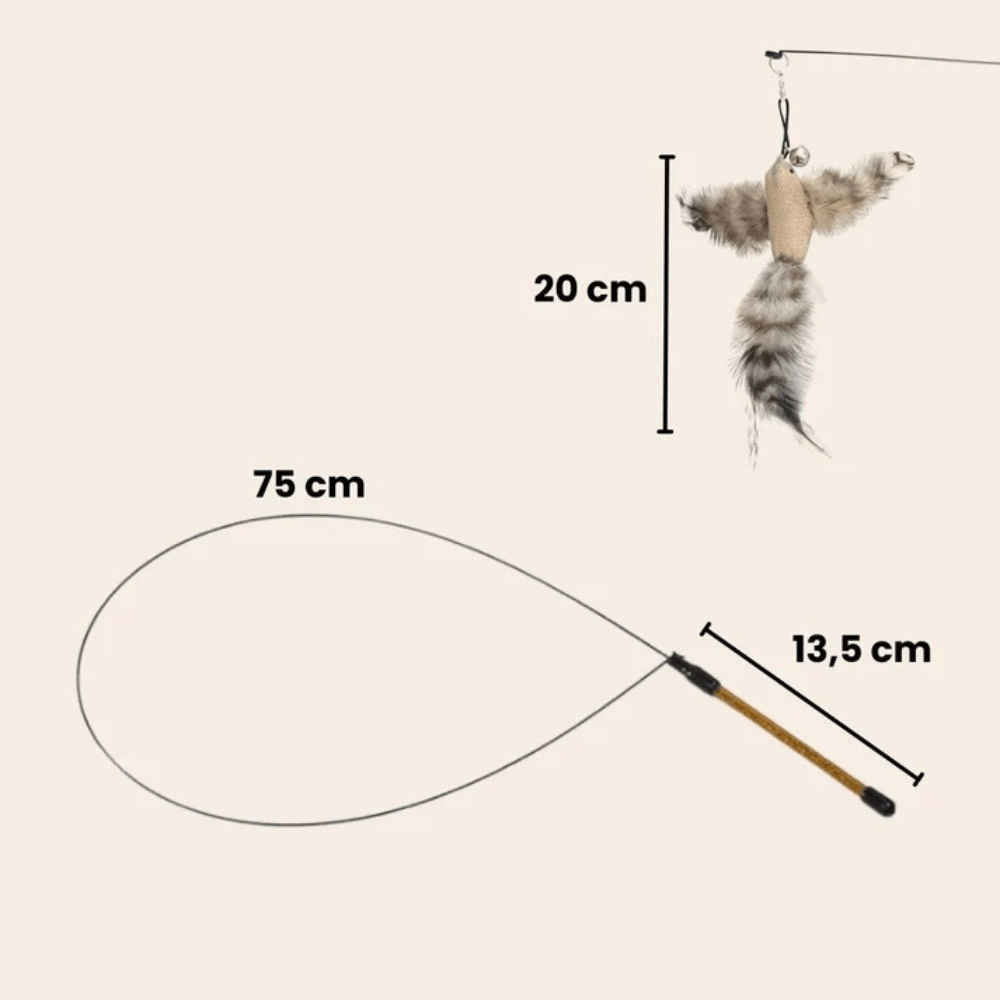 Kit d'Amusement Intéractif pour Félins