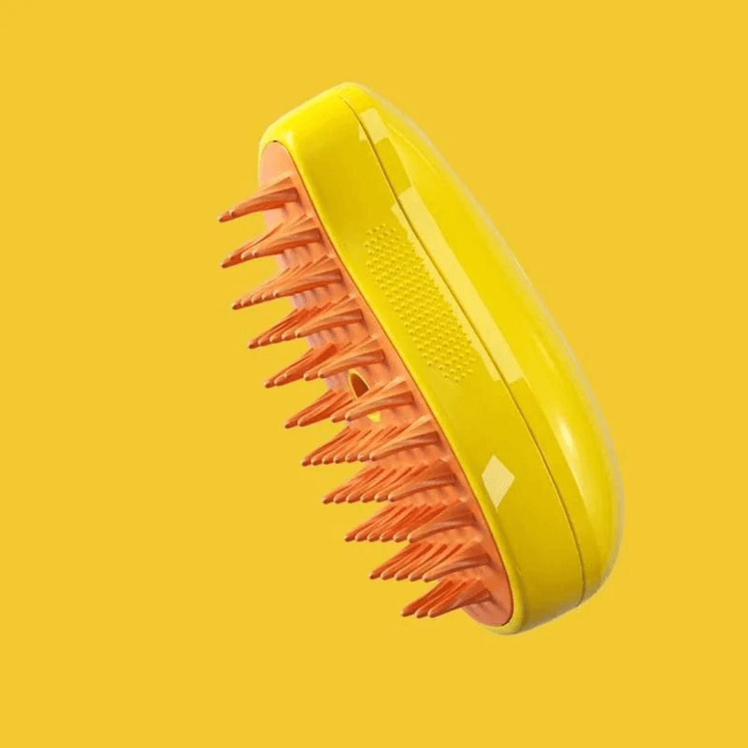 Brosse chien à vapeur
