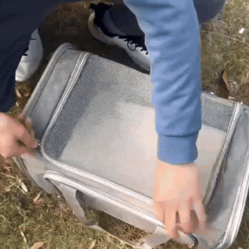 Airline Approved Dog Travel Bag | Breathable Mesh Carrier | Secure Design | Fits Under Seat | Portable Pet Bag