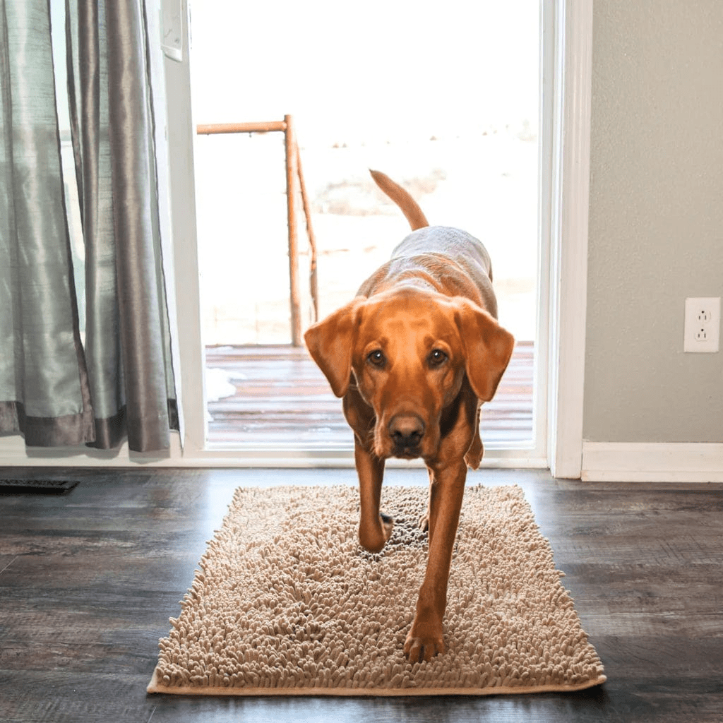 Tapis CleanPattoune™ - Le Confort Pour Lui, La Propreté Pour Vous