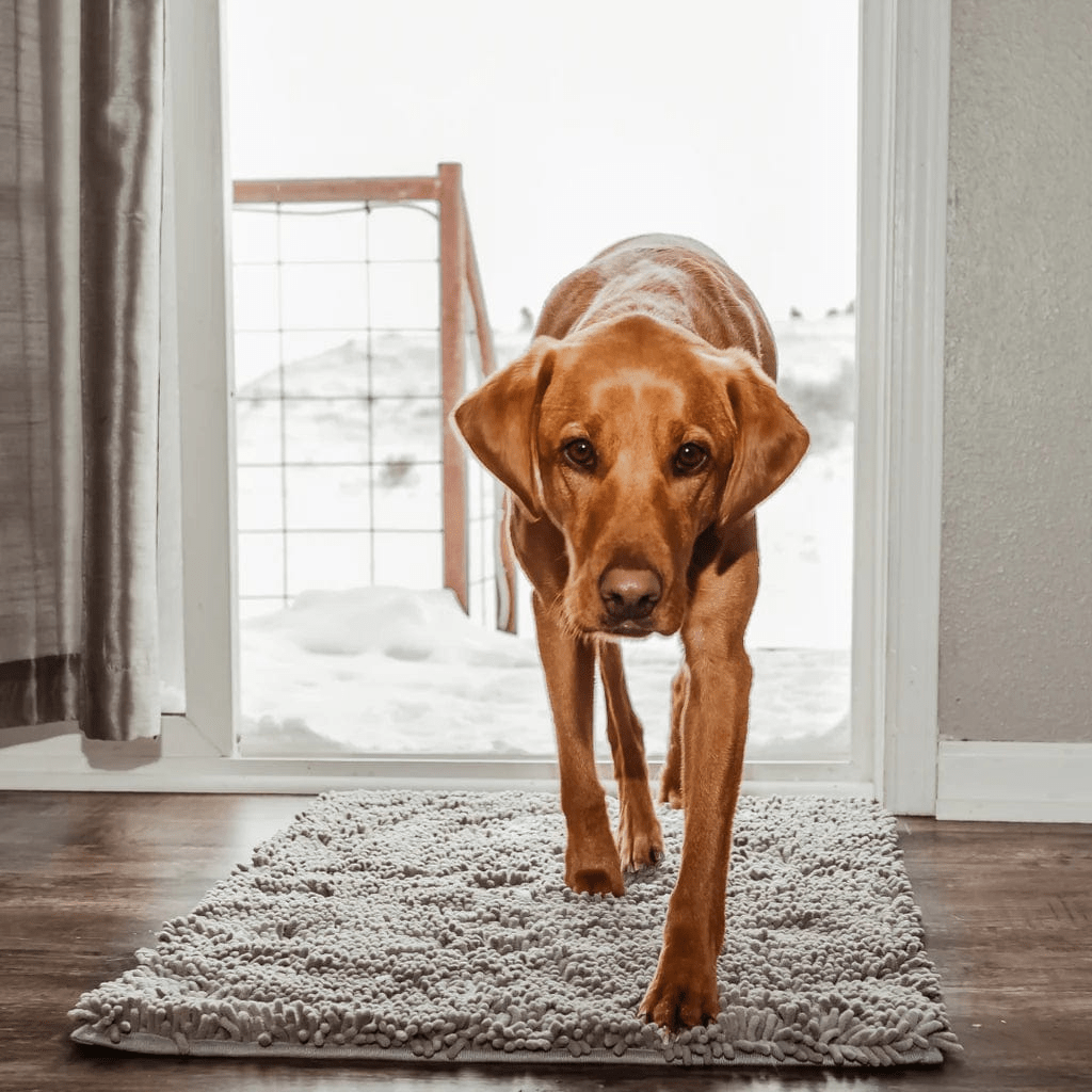 Tapis CleanPattoune™ - Le Confort Pour Lui, La Propreté Pour Vous