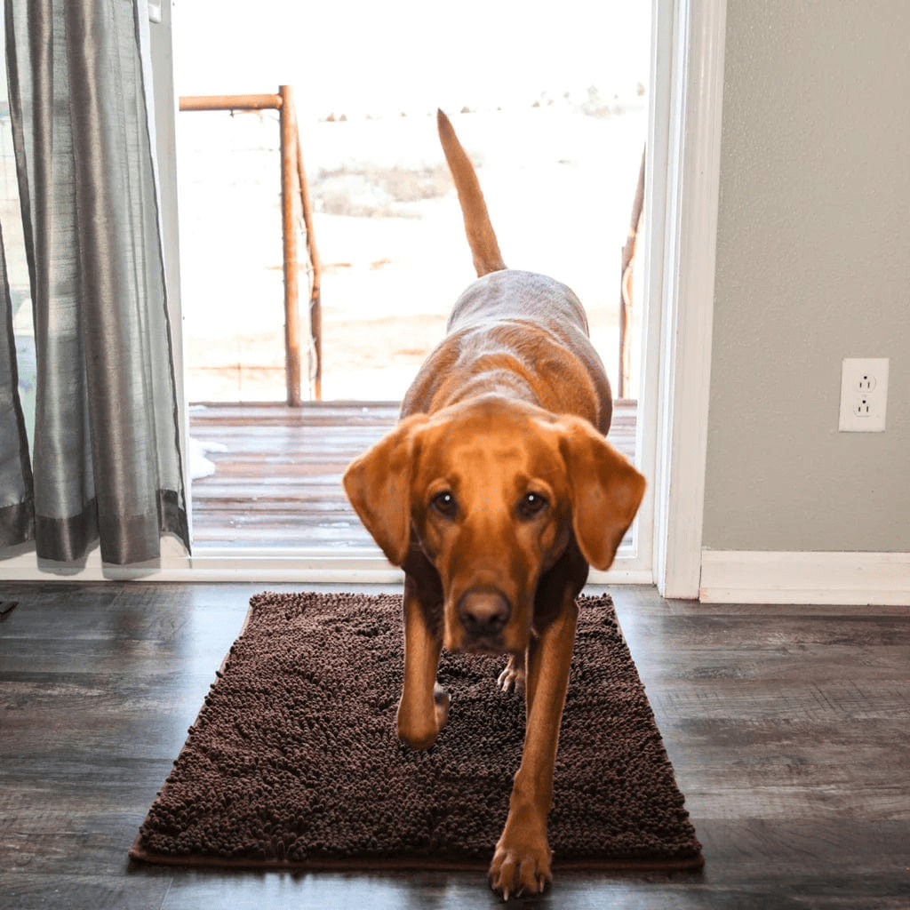 Tapis CleanPattoune™ - Le Confort Pour Lui, La Propreté Pour Vous