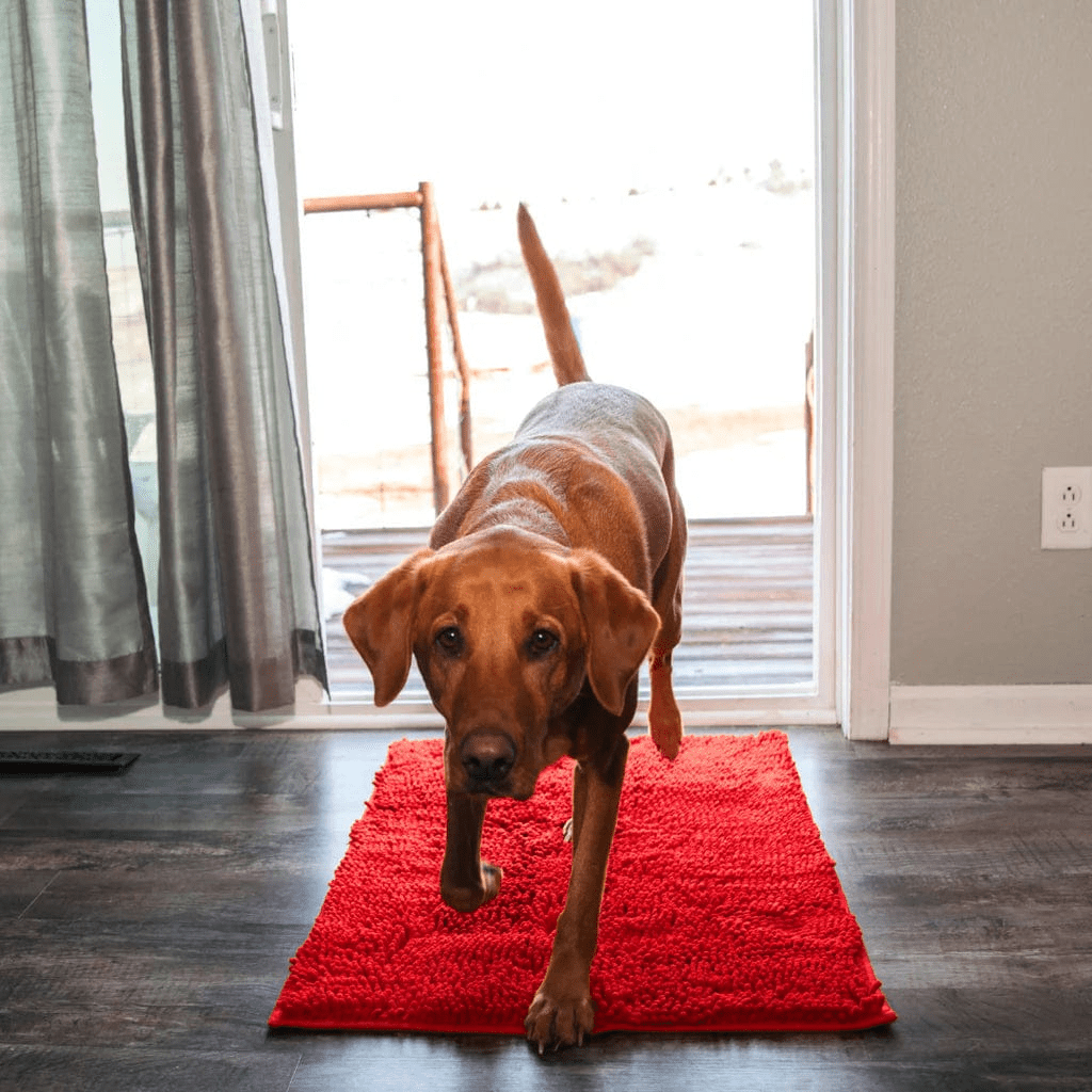Tapis CleanPattoune™ - Le Confort Pour Lui, La Propreté Pour Vous
