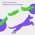 Dog playing fetch with crocodile toy