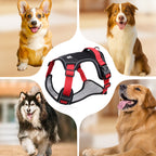 No-pull dog harness with LED collar and leash