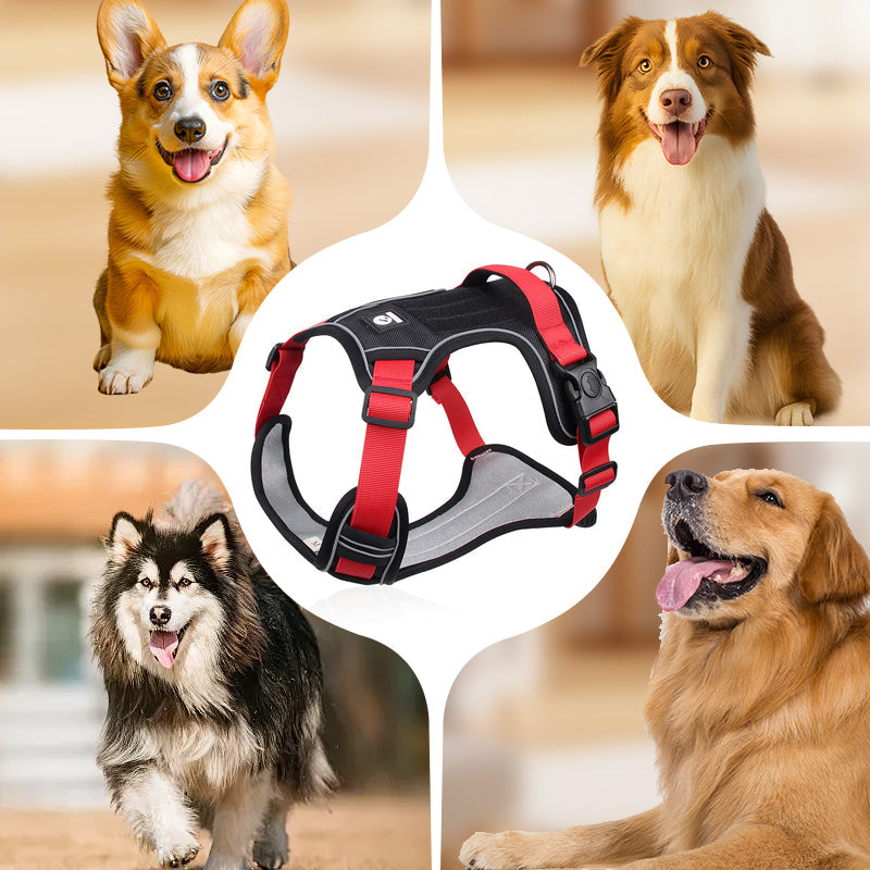 No-pull dog harness with LED collar and leash