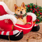 Small dog in sleigh bed