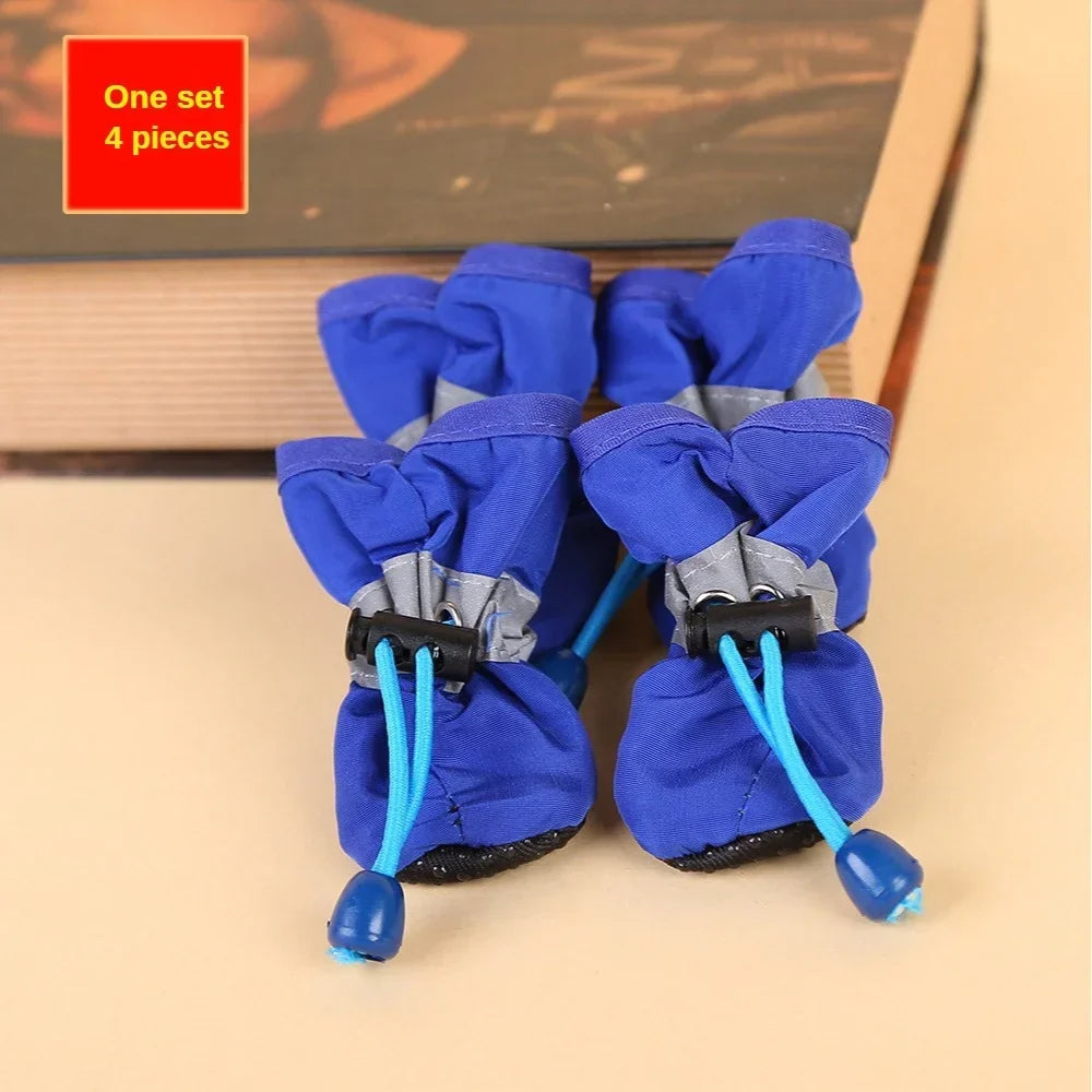 Blue dog boots