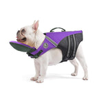 Purple dog life jacket