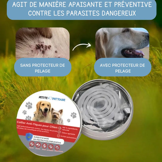 Collier Anti-Tiques pour Chien