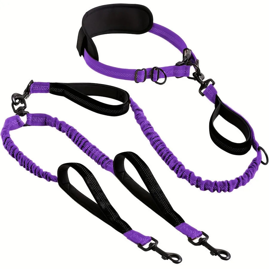 Double dog leash colour option