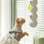 Wall cat toy on a window