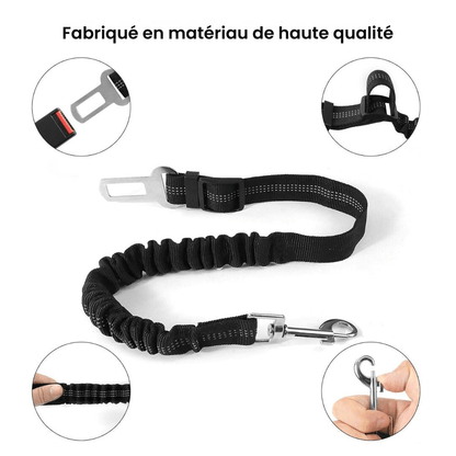 Ceinture Sécurité pour Chien