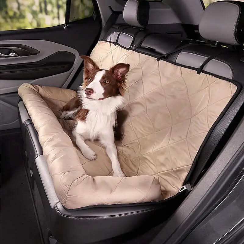 Dog lying in back seat car lounge