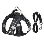 Mesh harness colour option