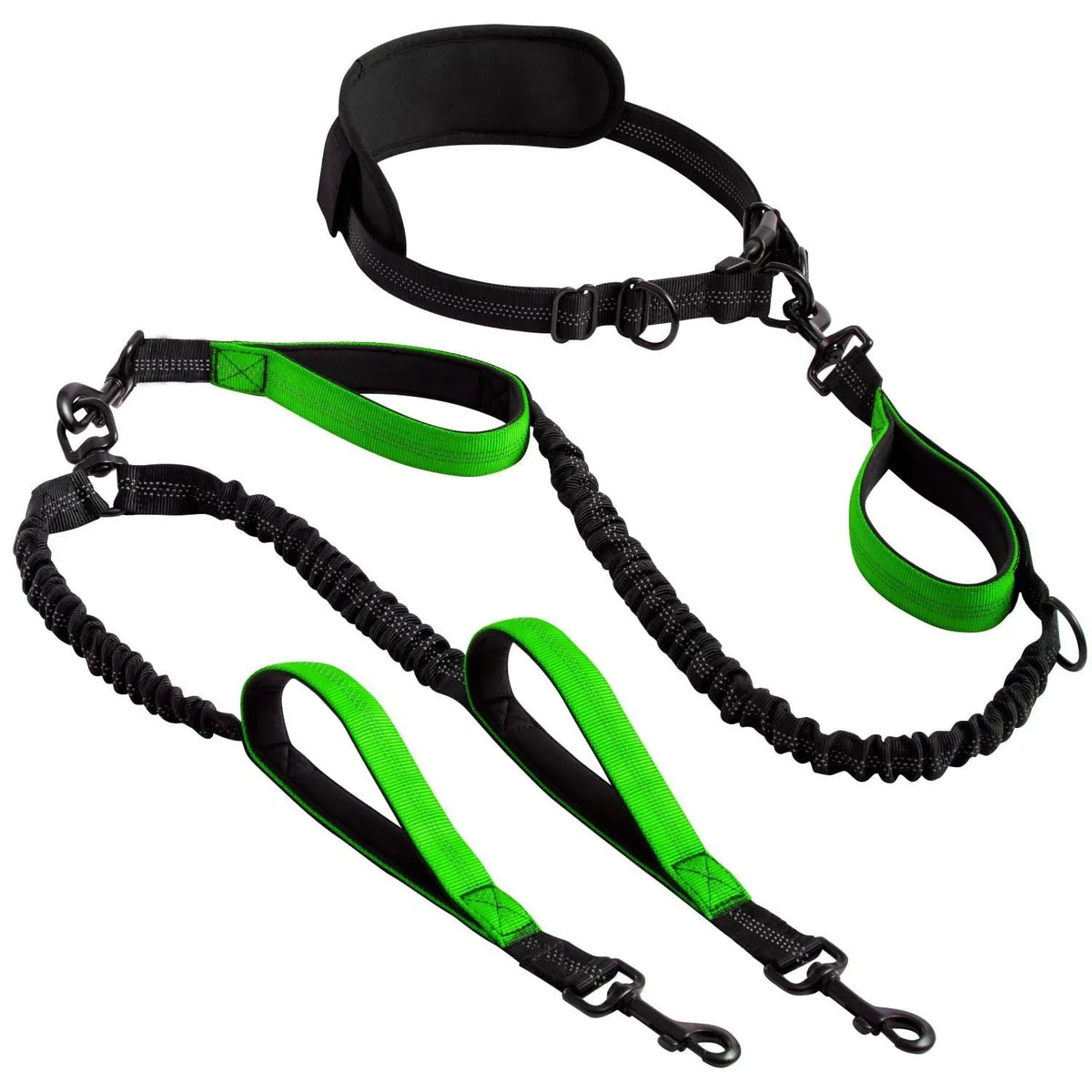 Double dog leash colour option