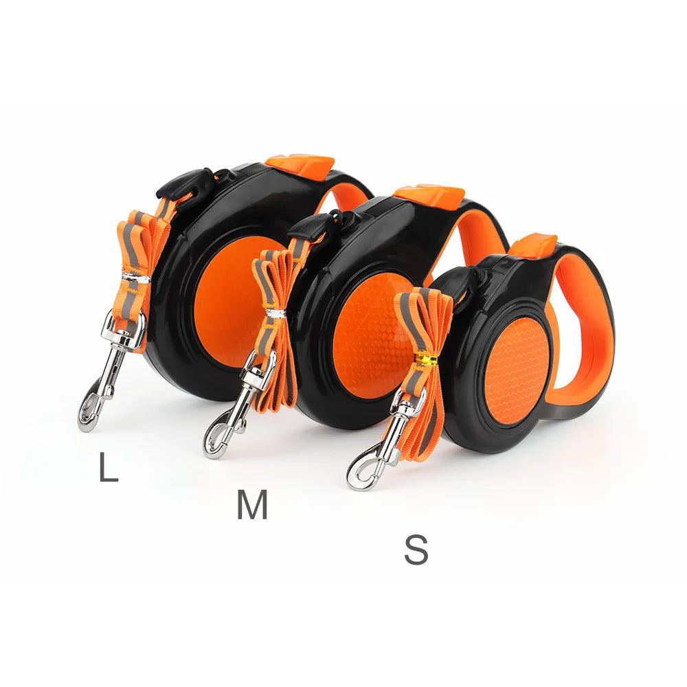 Dog walking on retractable leash