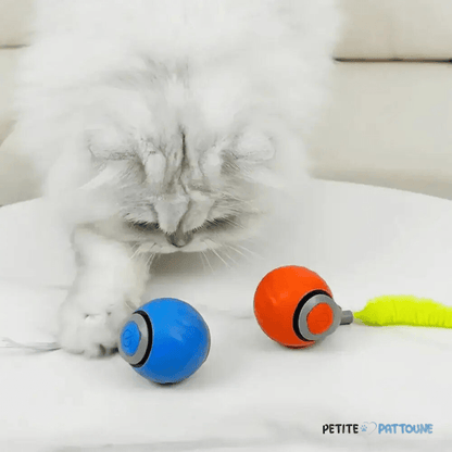 Balle Interactive 2.0 pour Félins