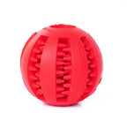 Red dog chew ball