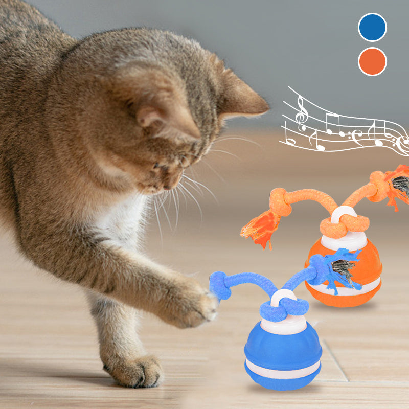 Automatic rolling cat ball