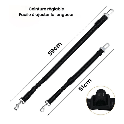 Ceinture Sécurité pour Chien
