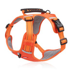 Orange padded no-pull dog harness